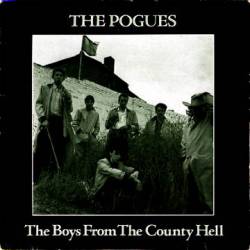 The Pogues : The Boys from the County Hell